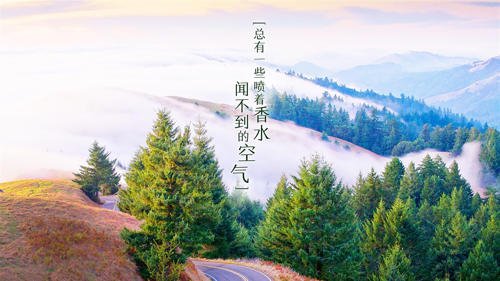 2026 世界杯期间美加墨交通攻略：从温哥华到墨西哥城怎么走？，温哥华离美国近吗